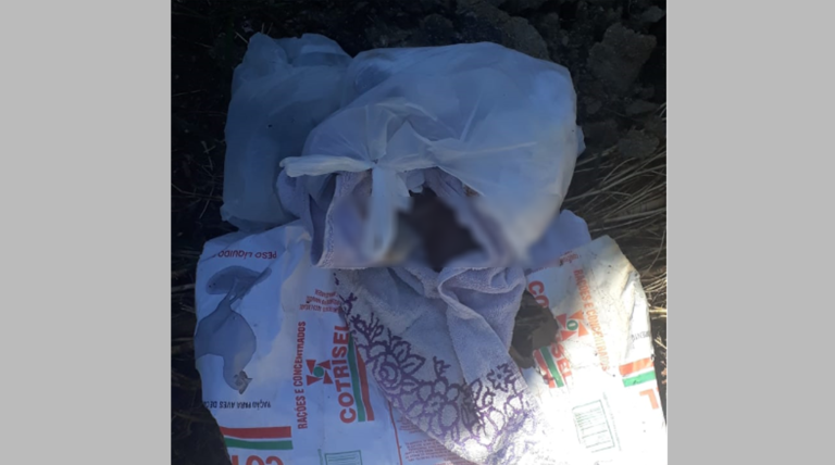 Polícia vai investigar caso de feto encontrado no lixo em São Sepé