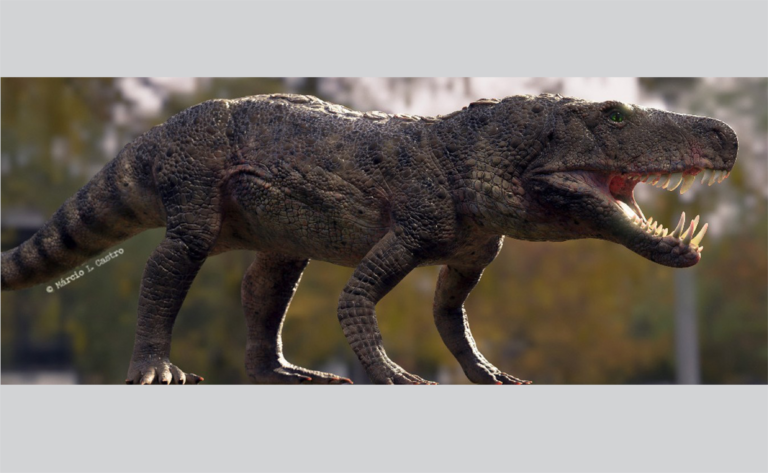 Pesquisa apresenta réptil raro que conviveu com dinossauros em Agudo