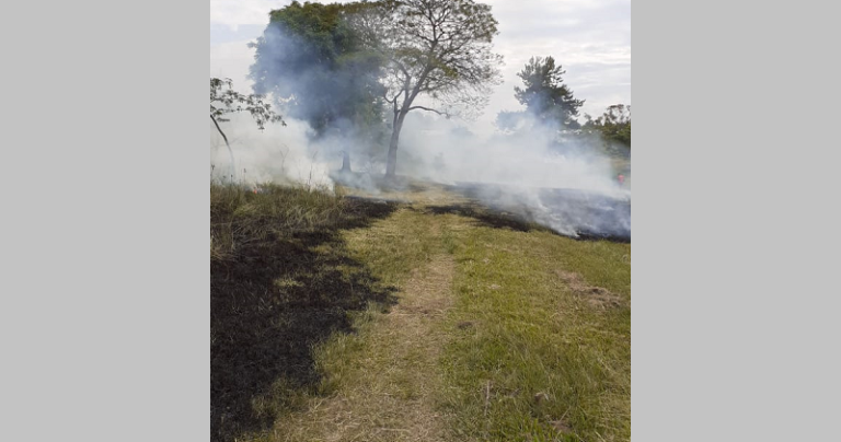 Bombeiros controlam fogo no Parque Ambiental de São Sepé