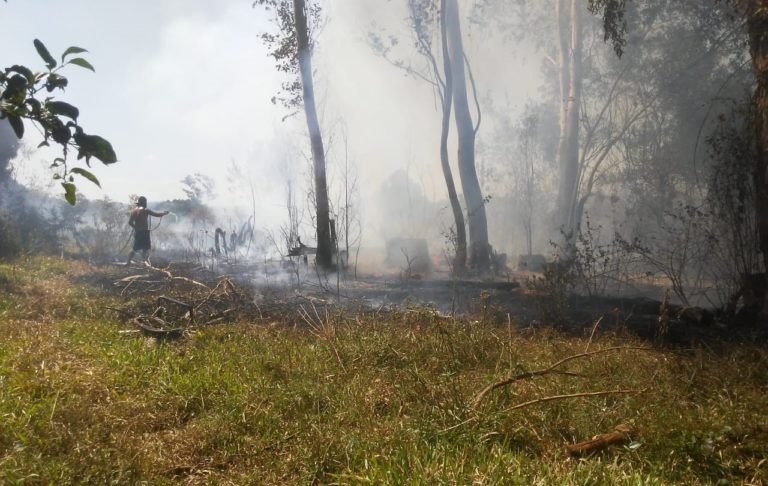 Incêndio quase atinge residências em bairro de São Sepé