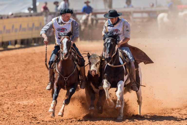 Ginetes mantêm ritmos de treino para retorno de ciclo do Cavalo Crioulo