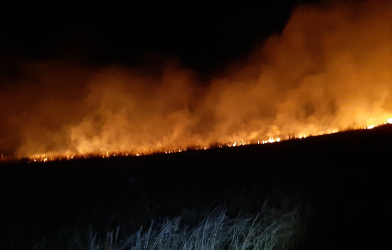 Incêndio atinge campo próximo à BR-392 em São Sepé