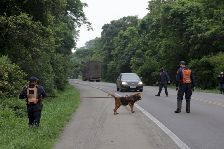 Buscas por dentista desaparecida na região chegam no quarto dia