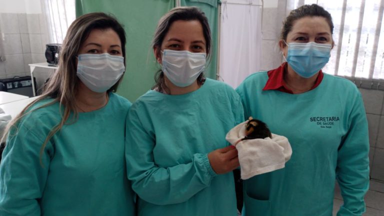 Servidora resgata filhote de gambá encontrado em lixeira em São Sepé