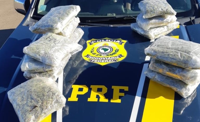 Homem é preso transportando skunk em Rosário do Sul