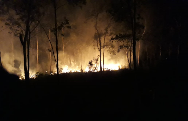 Tempo seco aumenta risco de incêndios em São Sepé