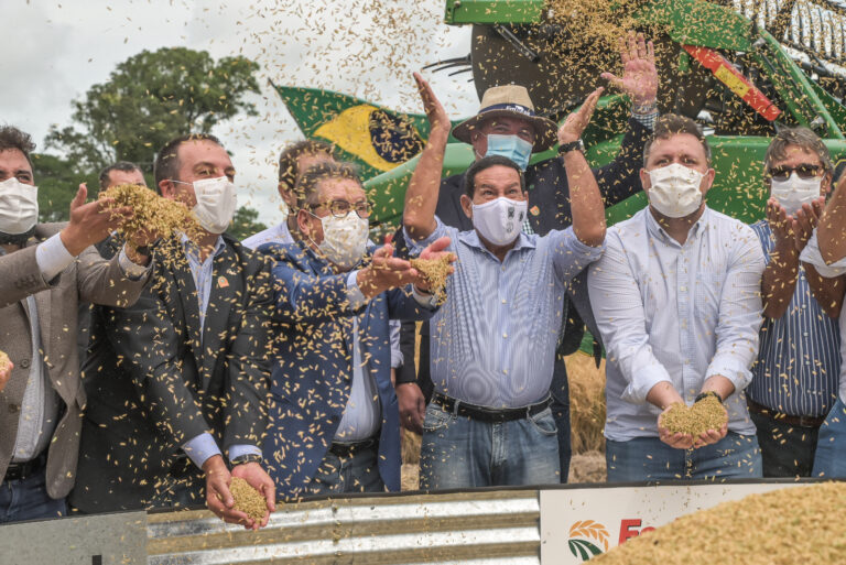 Abertura da Colheita do Arroz termina em clima de emoção e superação