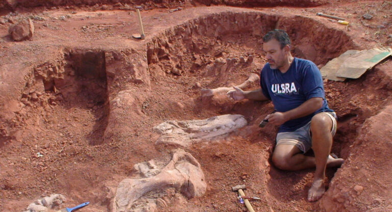 Fósseis de dinossauros são encontrados pela primeira vez em Restinga Sêca
