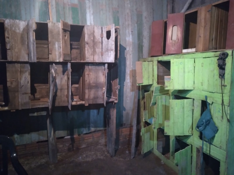 Brigada Militar acaba com rinha de galos em Formigueiro