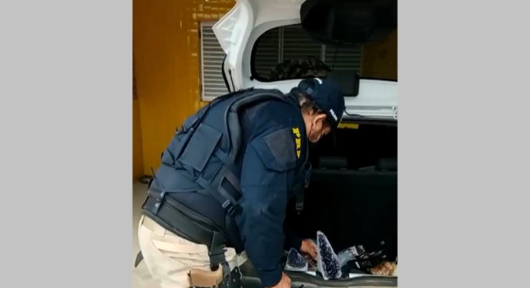 PRF apreende pedras semipreciosas em São Sepé