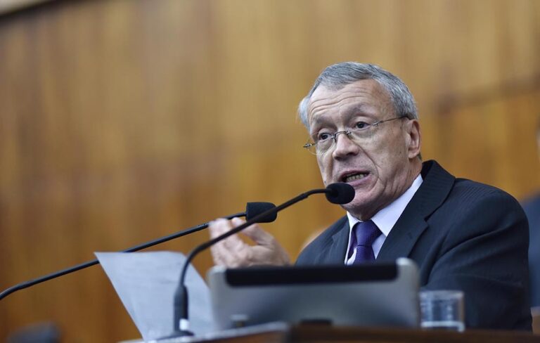 Deputado apresenta projeto para regulamentar a colheita do pinhão no RS
