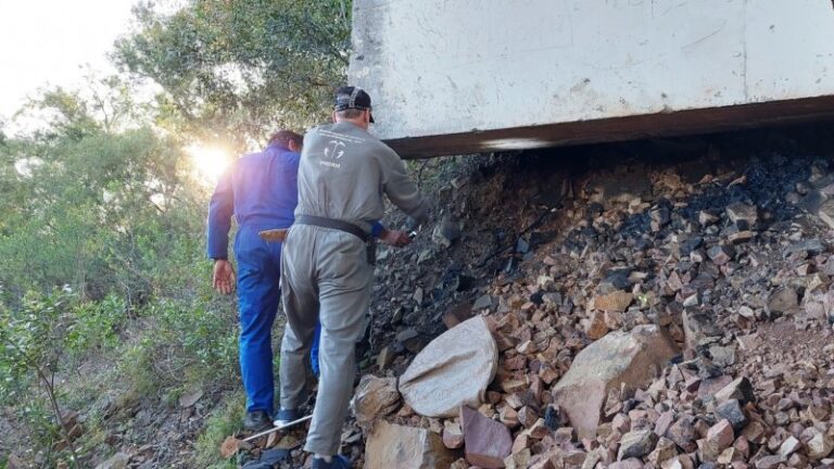 São Sepé está entre os municípios com casos de raiva herbívora em 2022