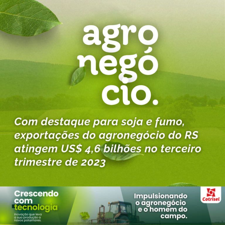 Com destaque para soja e fumo, exportações do agronegócio do RS atingem US$ 4,6 bilhões no terceiro trimestre de 2023