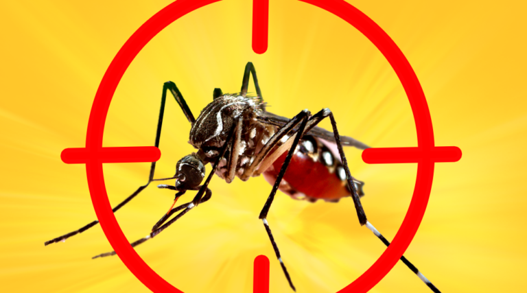 57 óbitos por dengue em 2024 coloca Secretaria Estadual da Saúde em estado de emergência.