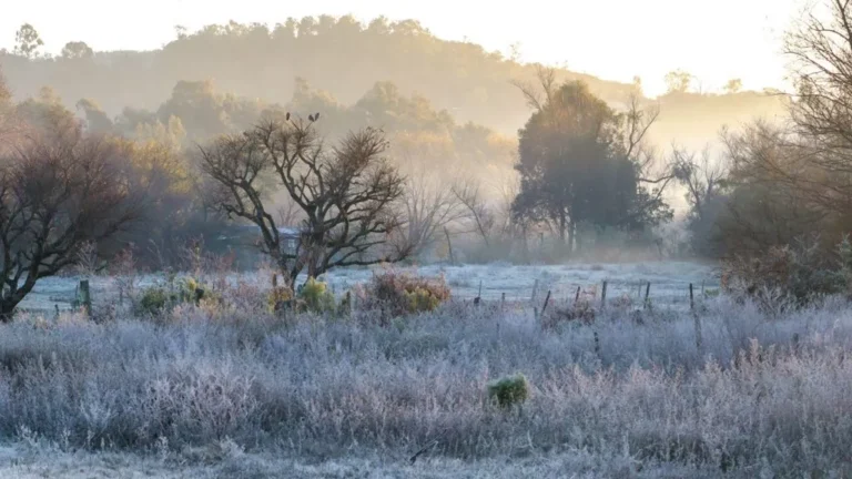 Madrugada de Sábado em São Sepé terá 2,7 graus de mínima.