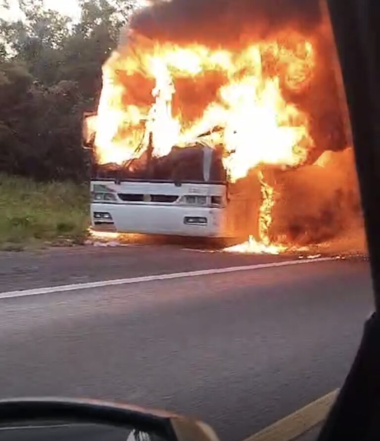 Ônibus da Expresso São Pedro pega fogo na BR 287 entre Santa Maria e São Pedro do Sul.
