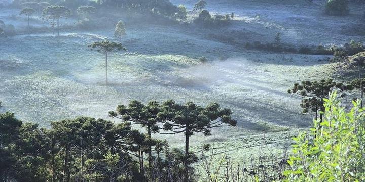 Geada no fim de dezembro surpreende e transforma paisagem de cidade de Santa Catarina