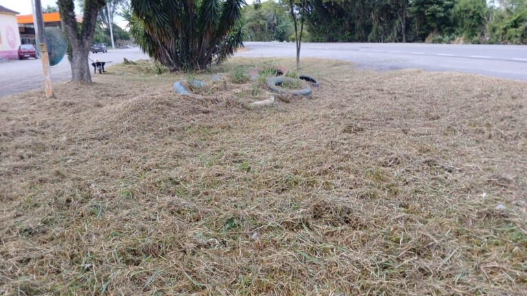 Equipes de limpeza urbana intensificam trabalhos