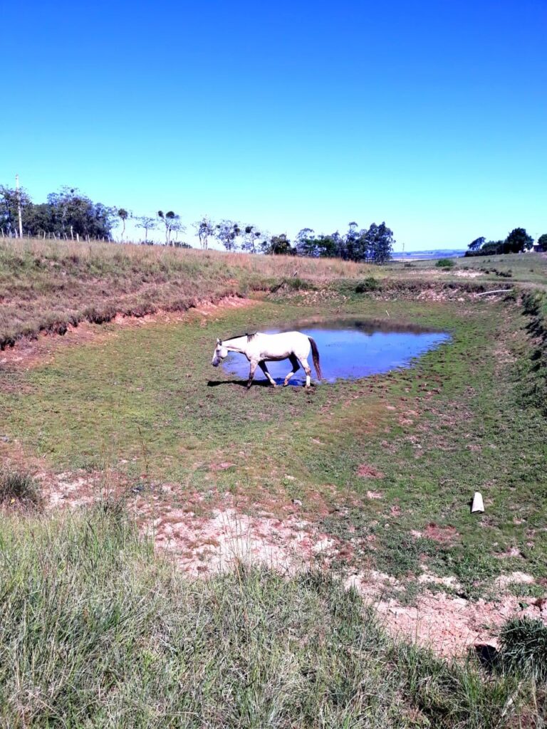 Decreto de Emergência é homologado pelo governo do Estado