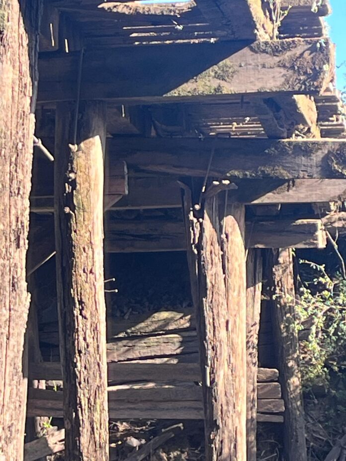 d92d7957-c4c1-4d59-b7e3-21c115a58adc