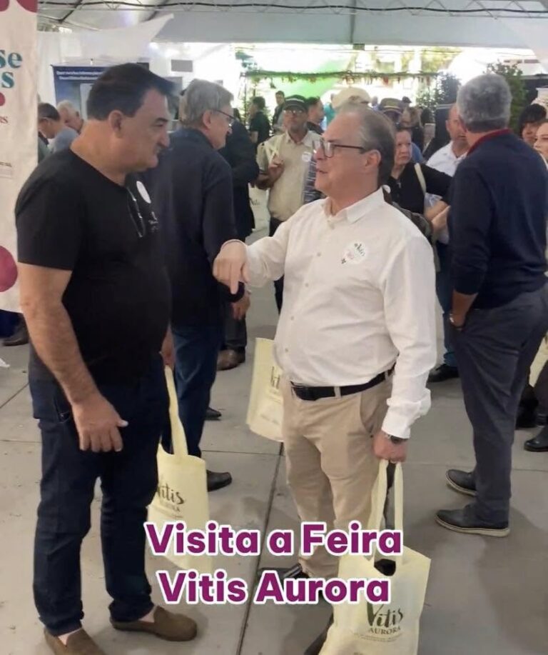 São Sepé fortalece laços com a vitivinicultura em missão técnica a Pinto Bandeira