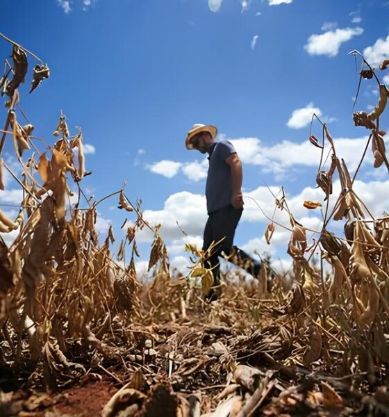 A_Seca_Implac_vel_no_Rio_Grande_do_Sul_Quando_o_C_u_Fecha_as_Torneiras_Quem_Paga_o_Pre_o-560x600
