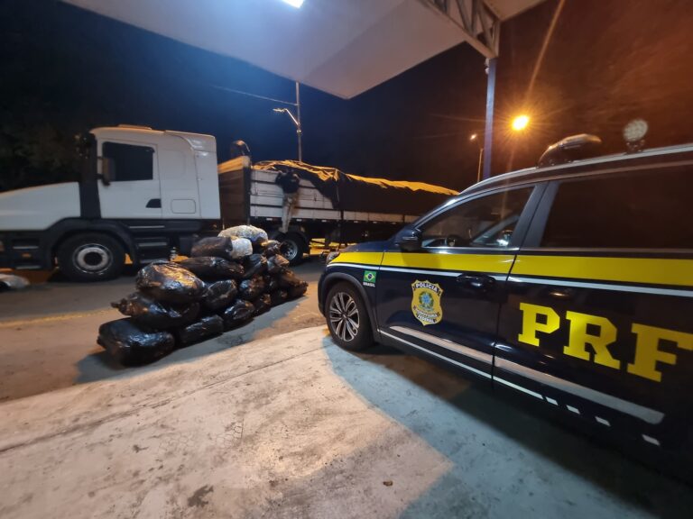 PRF faz a sua maior apreensão de skunk do ano no RS