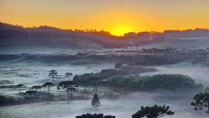 506059116_1302551268536711_9143843677570898248_n