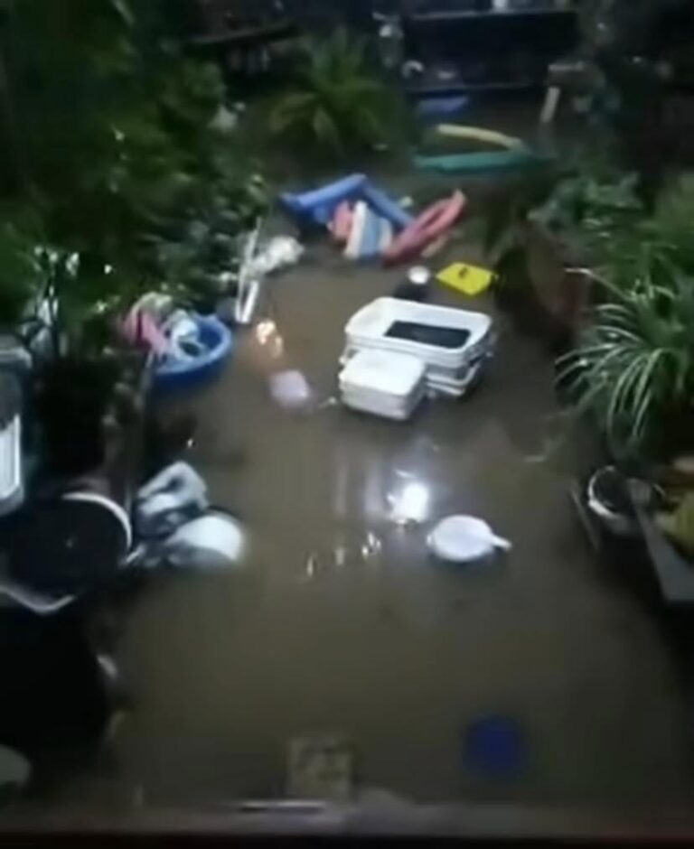 Chuva deixa pelo menos 48 pessoas desalojadas em Santa Maria