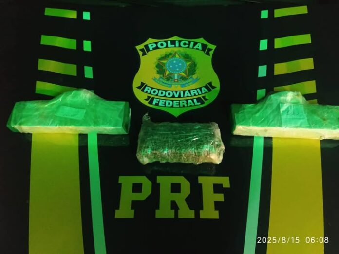 533031722_1359525096172661_6642017845863449285_n