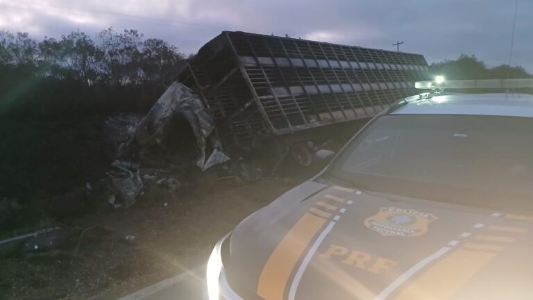 Acidente Grave na BR-392 em Santana da Boa Vista Deixa Uma Vítima Fatal