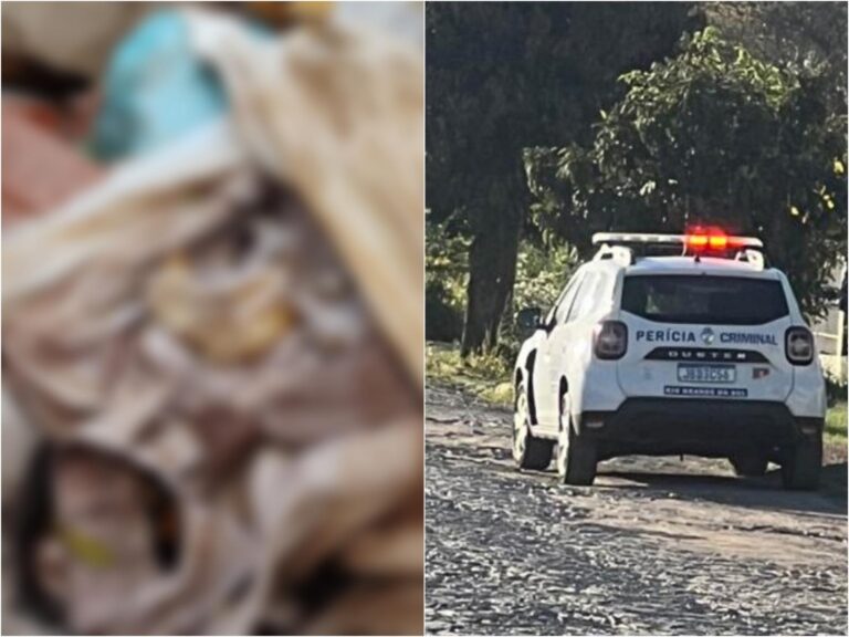 Ossadas em lixão de Vila Nova do Sul passam por perícia do IGP nesta quarta-feira