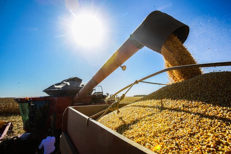 Exportações do agronegócio gaúcho somam US$ 3,1 bi no segundo trimestre de 2025