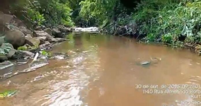 572274790_1431342122324291_5873377278561293957_n