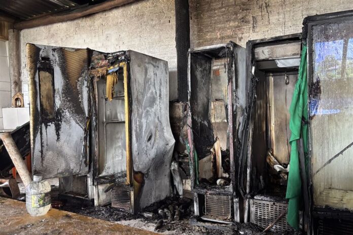 cf1b3629-05fc-4690-91e9-b39d46dc074a