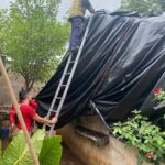 596780011_1466539112137925_4109865245998022076_n