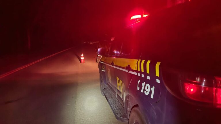 Sinistro de trânsito com óbito é registrado na BR-290, em Santa Margarida do Sul
