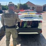 646817353_1543427521115750_8092505960306097477_n