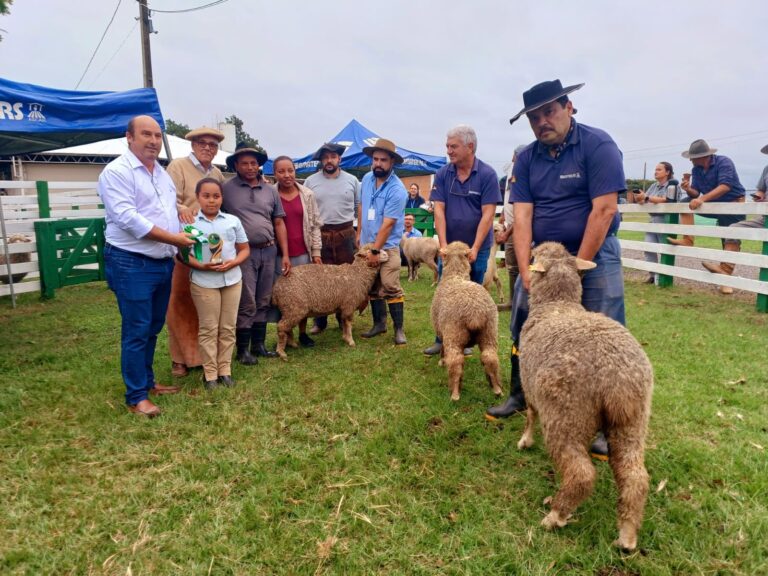São Sepé sedia concursos de borregas e fortalece o setor agropecuário regional