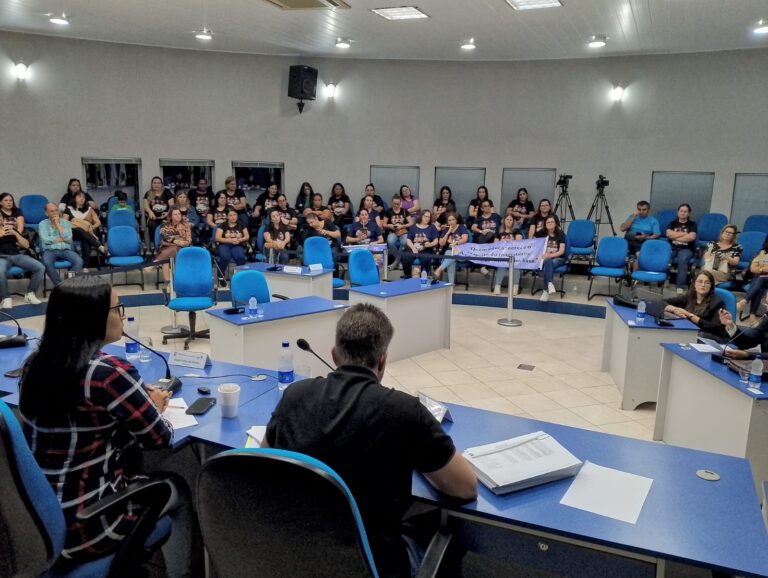 Audiência pública debate impactos jurídicos e financeiros de lei federal sobre profissionais da educação infantil em São Sepé