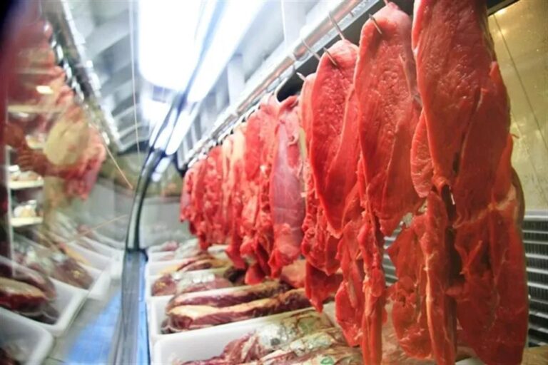 China reconhece o Brasil como território livre de febre aftosa