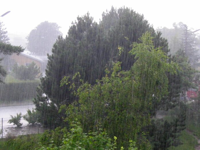 22_Regen_ubt