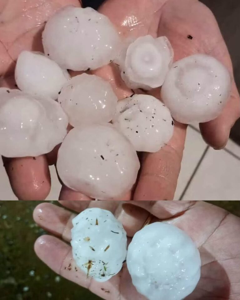 Temporal de granizo atinge Vila Nova do Sul e mobiliza Bombeiros Voluntários