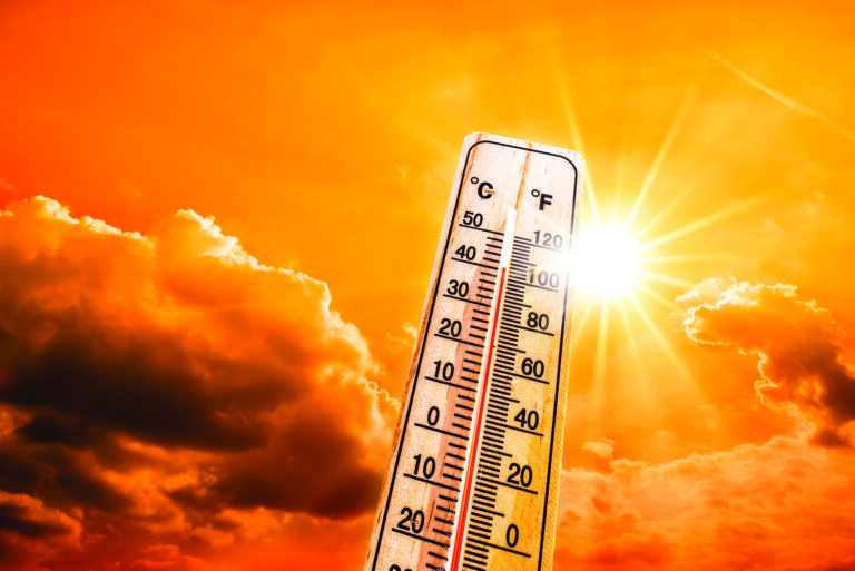 Super El Niño pode provocar calor extremo e causar mais de 13 mil mortes no Brasil